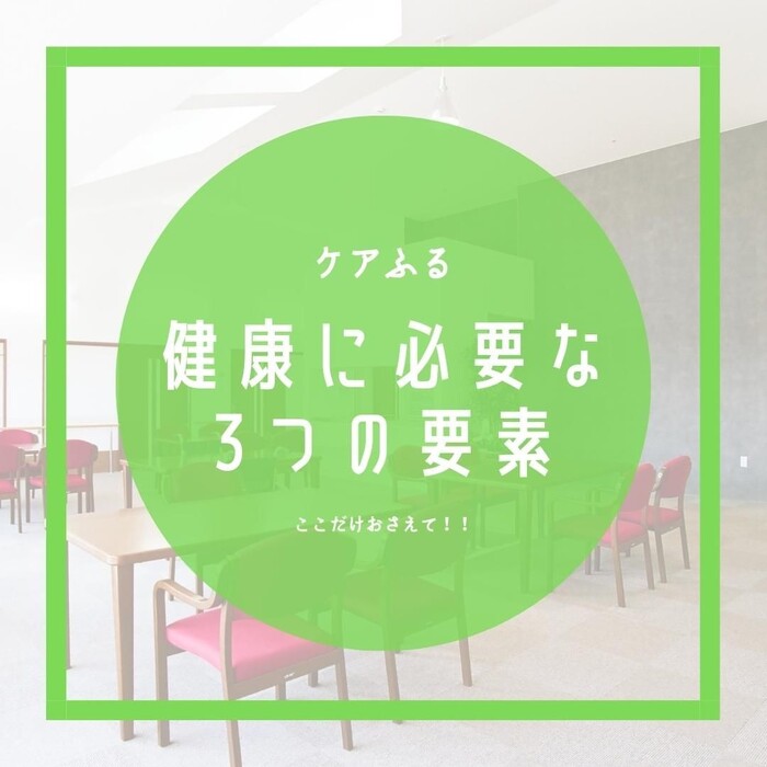 画像247